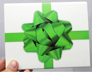 SilverTowne Gift Box with Green Bow Box Sleeve